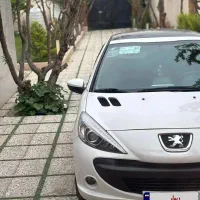 207 پانا ارتقا مدل 1403 درحد خشک