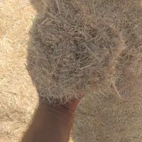 کاه خورد و سفید دیم گوسفندی|لوازم جانبی حیوانات|اندیمشک, |دیوار