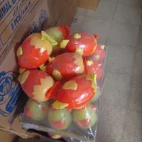 عمده|اسباب‌بازی بچه|کاشان, مفتح|دیوار