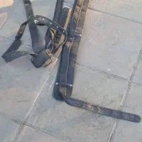 هیکلی برزنتی