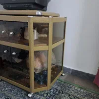 میز عسلی جلو مبلی و میز تلویزیون قدیمی|میز تلویزیون|بابل, |دیوار