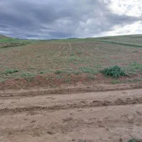 سلماس-کوی-بهارستان