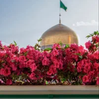 نرخ ویژه تور مشهد