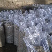 تفاله چغندرخشک فشنگی وتر بارطوبت کم باقیمت منصفانه