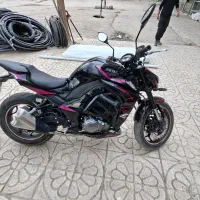 های پرو نیکتاز