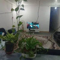 فروش همکف پشت کاردانش|فروش آپارتمان|بهبهان, |دیوار