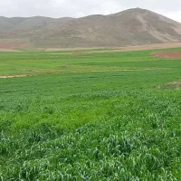 زمین|فروش زمین و ملک کلنگی|بهار, |دیوار