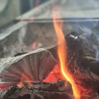 واگزاری-یا-همکاری-کبابی-جگرکی