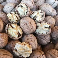 گردوی درجه یک لوکس