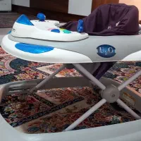 روروئک درحدنو