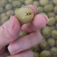 پخش زیتون و پرورده
