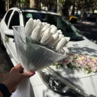 تاج گل باکس گل باکس سوپرایز ماشین عروس اجاره خودرو|خدمات پذیرایی، مراسم|شهریار, شهریار|دیوار