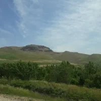 باغ و زمین|فروش زمین و ملک کلنگی|شاهین دژ, |دیوار