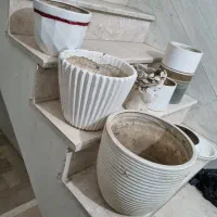 گلدان|گل و گیاه طبیعی|پاکدشت, پاکدشت (مامازند)|دیوار