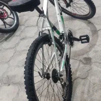 دوچرخه ویوا۲۶