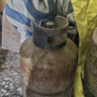کپسول و پیک نیک