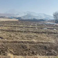 فروش-زمین-کشاورزی