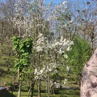 جویای کار سرایداری باغ ویلا