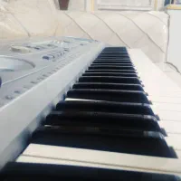 ارگ|پیانو، کیبورد، آکاردئون|ایذه, |دیوار