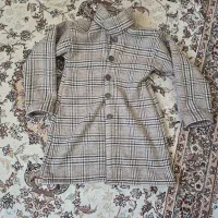 پالتو معاوضه با  چند گل پتوس  شفلرا