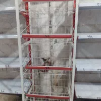 فروش لوازم سوپرمارکت به صورت کلی و جزئی|فروشگاه و مغازه|قرچک, مهدیه|دیوار