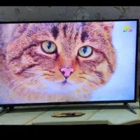 ال ای دی 43سونیا  تمیز  دیجیتال سرخود.