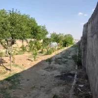 باغ|فروش خانه و ویلا|قرچک, صالح آباد|دیوار