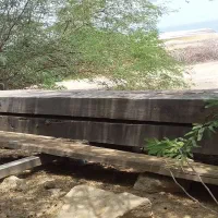 چوب الوار مخصوص لنج