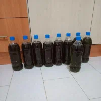 فروش روغن زیتون ناب مینودشت