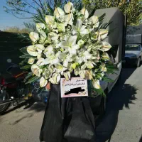 تاج گل اوربیتاترحیم،ختمی برای تبریک نمایشگاحی عذا