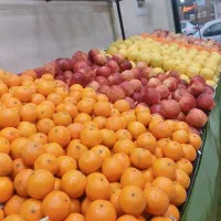 صندوقدار خانم