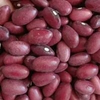 لوبیا قرمز و چیتی.