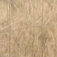 علف و یونجه فروشی