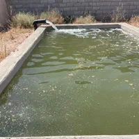 باغ ۳۰۰ متری در قلعه سفید