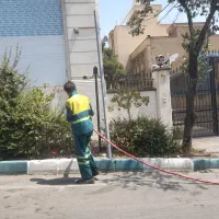 باغبانی و قطع درخت