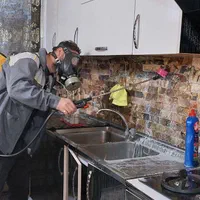 سمپاشی خانه سوسک موش ساس سم کک کنه سم پاشی موریانه