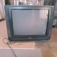 تلویزیون