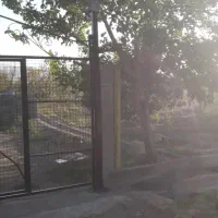 قطعه باغ فروشی در روستای گله بان|فروش دفتر صنعتی، کشاورزی، تجاری|یامچی, |دیوار