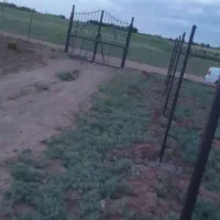 فنس کشی|خدمات باغبانی و درختکاری|زنجان, |دیوار