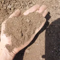 کود مخصوص کشت زعفران