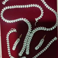 سرویس نقره باآبکاری طلا سفید