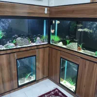 فروش آکواریوم|ماهی|یزد, |دیوار