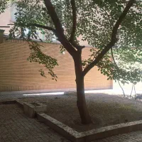 ویلایی-شمالی-پیروزی-20