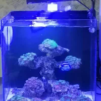 آکواریوم آب شور آبشور با لوازم و ماهی و ریف