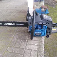 قطع همه نوع درخت با اره موتوری