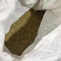 عدس|خوردنی و آشامیدنی|گلستان (تهران), |دیوار