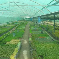 فروش توری های سایبان|خدمات پیشه و مهارت|ری, بازار گل خاوران|دیوار