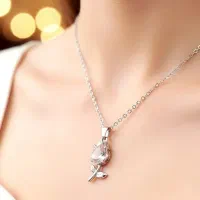 بدلیجات|گردهمایی و همایش|اسفراین, |دیوار