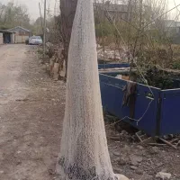 سالی دست بافت