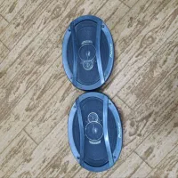 باند پایونیر